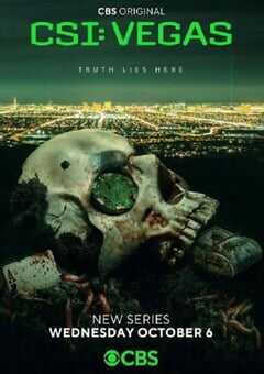 2021年美国陆电视剧《犯罪现场调查：维加斯 第一季》全10集 [迅雷BT磁力免费下载]