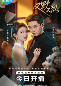2026年国产电视剧《又野又烈》 全第24集 [迅雷BT磁力免费下载]