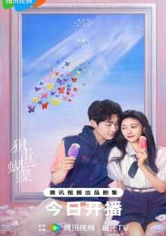 2025年国产大陆电视剧《狙击蝴蝶》全30集 [迅雷BT磁力免费下载]