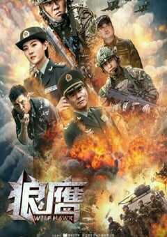 2020年国产动作片《狼鹰》HD国语中字 [迅雷BT磁力免费下载]