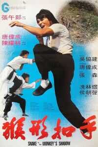 1979中国香港电影《猴形扣手》1080p高清 4K网盘迅雷下载