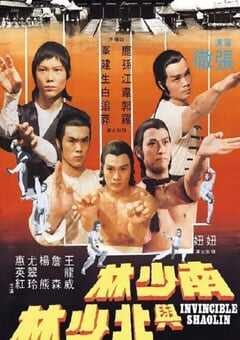 1978年中国香港经典动作片《南少林与北少林》蓝光国语中字 [迅雷BT磁力免费下载]