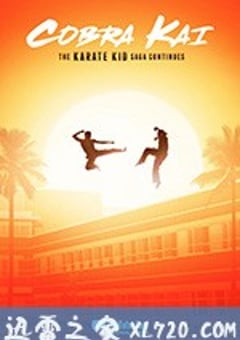 眼镜蛇 第一季 Cobra Kai Season 1 (2018) [迅雷BT磁力免费下载]