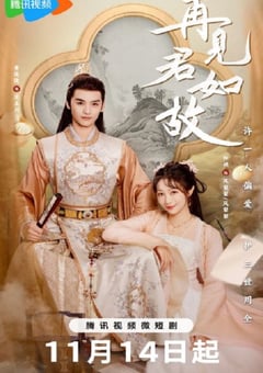2023年国产大陆电视剧《再见君如故》全22集 [迅雷BT磁力免费下载]