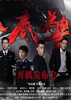 2023年国产大陆电视剧《卧底警花》全35集 [迅雷BT磁力免费下载]