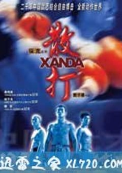 散打 (2004) [迅雷BT磁力免费下载]