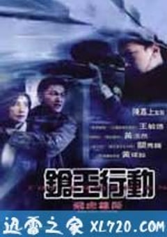 飞虎雄师之枪王行动 [迅雷BT磁力免费下载]