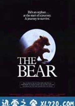 熊的故事 L’ours (1988) [迅雷BT磁力免费下载]