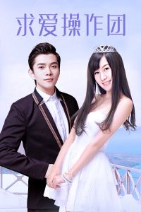 2015中国大陆电影《求爱操作团》1080p高清 4K网盘迅雷下载