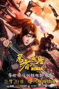 2018中国大陆电影《忍者通告》1080p高清 4K网盘迅雷下载