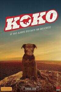 2019美国电影《Koko:红犬历险记》1080p高清 4K网盘迅雷下载