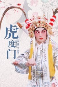 1996中国香港电影《虎度门》1080p高清 4K网盘迅雷下载