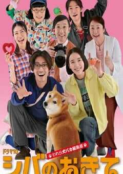 2025年日本电视剧《柴犬的规矩～我们这群狗痴编辑部～》连载至09 [迅雷BT磁力免费下载]