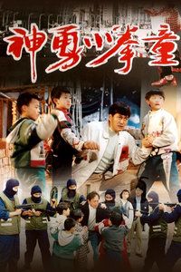 1995中国大陆电影《神勇小拳童》1080p高清 4K网盘迅雷下载