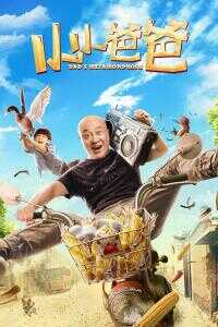 2017中国大陆电影《小小爸爸》1080p高清 4K网盘迅雷下载