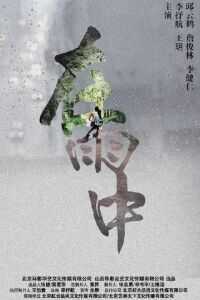 2016中国大陆电影《在雨中》1080p高清 4K网盘迅雷下载