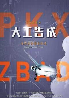 2020年国产大陆纪录片《大工告成——北京大兴国际机场》全3集 [迅雷BT磁力免费下载]