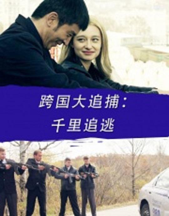 2016中国大陆电影《跨国大追捕：千里追逃》1080p高清 4K网盘迅雷下载