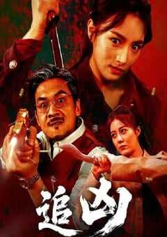 2025年国产动作片《追凶》HD国语中字 [迅雷BT磁力免费下载]