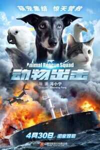 2019中国大陆电影《动物出击》1080p高清 4K网盘迅雷下载