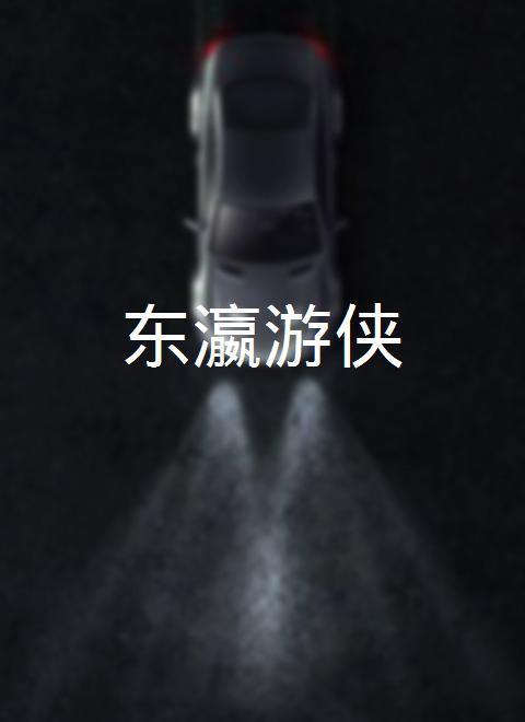 1992中国大陆电影《东瀛游侠》1080p高清 4K网盘迅雷下载