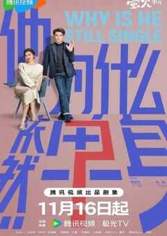 2025年国产大陆电视剧《他为什么依然单身》连载至16 [迅雷BT磁力免费下载]