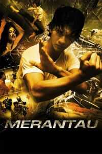 2009印度尼西亚电影《精武战士》1080p高清 4K网盘迅雷下载