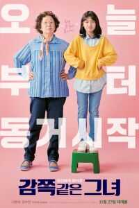 2019韩国电影《天衣无缝的她》1080p高清 4K网盘迅雷下载