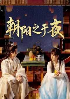 2025年国产大陆电视剧《朝阳之于夜》全24集 [迅雷BT磁力免费下载]