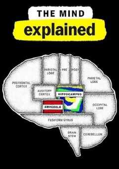 2021年美国纪录片《头脑解密 第二季》全5集 [迅雷BT磁力免费下载]