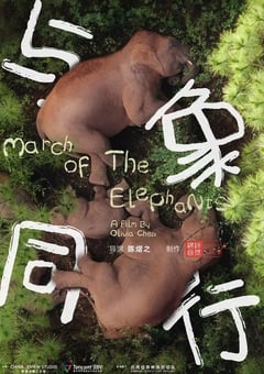 2022年国产纪录片《与象同行》 连载至HD国语中字 [迅雷BT磁力免费下载]