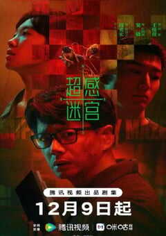 2025年国产大陆电视剧《超感迷宫》连载至20 [迅雷BT磁力免费下载]