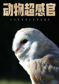 2020年加拿大纪录片《动物超感官》全3集 [迅雷BT磁力免费下载]