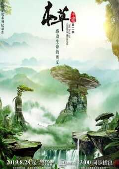 2019年国产大陆纪录片《本草中国 第二季》全12集 [迅雷BT磁力免费下载]