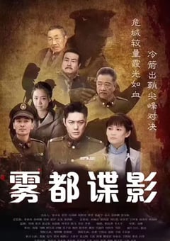 2017年国产大陆电视剧《摧毁》全40集 [迅雷BT磁力免费下载]