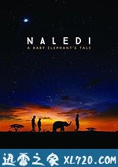 纳勒迪：一只小象的故事 Naledi: A Baby Elephant’s Tale (2016) [迅雷BT磁力免费下载]