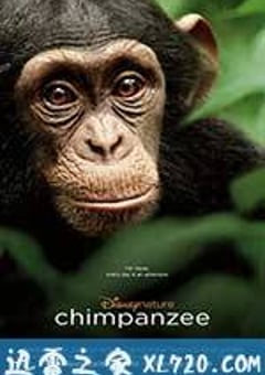 黑猩猩 Chimpanzee (2012) [迅雷BT磁力免费下载]