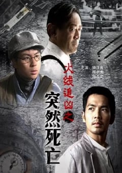 2009年国产经典动作片《火线追凶之突然死亡》HD国语中字 [迅雷BT磁力免费下载]