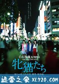 雌猫们 牝猫たち (2017) [迅雷BT磁力免费下载]