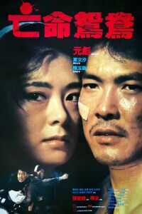 1988香港电影《亡命鸳鸯》1080p高清 4K网盘迅雷下载