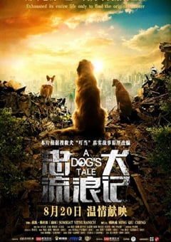 2021年国产冒险片《忠犬流浪记》HD国语中英双字 [迅雷BT磁力免费下载]