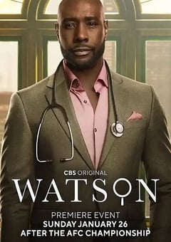 2025年美国电视剧《华生 第二季》 连载至第14集 [迅雷BT磁力免费下载]