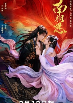 2026年国产电视剧《南相思》 全第28集 [迅雷BT磁力免费下载]