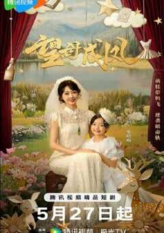2025年国产大陆电视剧《望母成凤》全24集 [迅雷BT磁力免费下载]