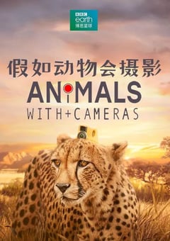 2018年英国纪录片《假如动物会摄影》全3集 [迅雷BT磁力免费下载]