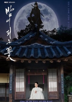 2024年韩国电视剧《夜晚开的花》全12集 [迅雷BT磁力免费下载]