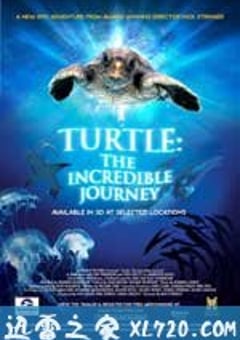 海龟奇妙之旅 Turtle: The Incredible Journey (2009) [迅雷BT磁力免费下载]