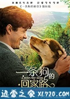 一条狗的回家路 A Dog’s Way Home (2019) [迅雷BT磁力免费下载]