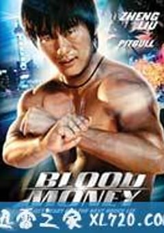 少林杀手：血钱 Blood Money (2012) [迅雷BT磁力免费下载]