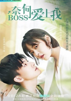 2022年国产大陆电视剧《奈何BOSS爱上我》连载至16 [迅雷BT磁力免费下载]